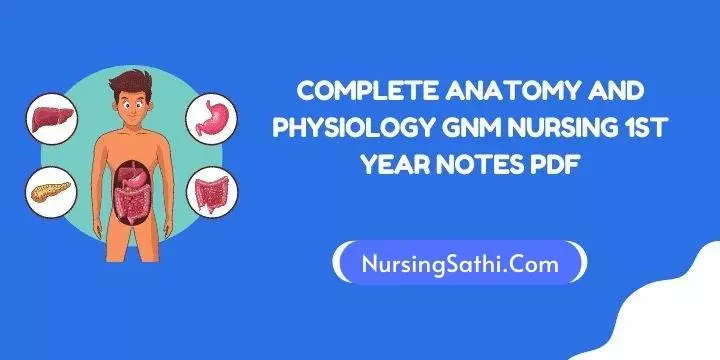 Anatomy and Physiology PDF Notes