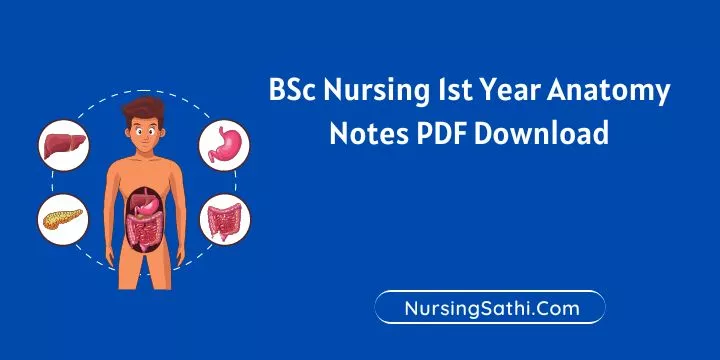 BSc Nursing 1st Year Anatomy Notes PDF