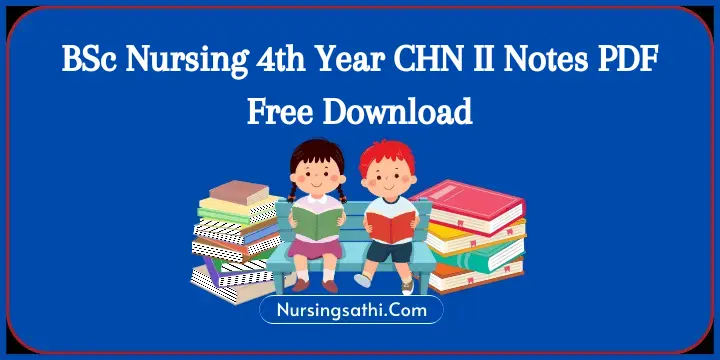 BSc Nursing 4th Year CHN II Notes PDF
